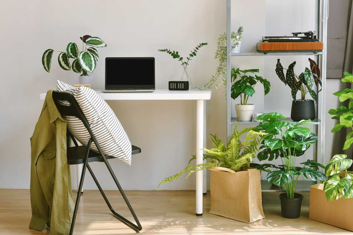 Revitalize Your Home Work Zone with These Eco-Friendly Décor Tips for Green Entrepreneurs